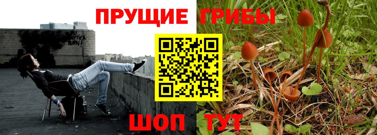 Псилоцибиновые грибы мухоморы  Галлюциногенные грибы мицелий  Вход с VPN  Тулун 